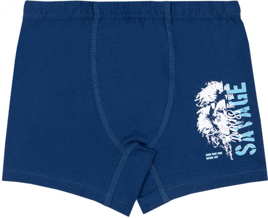 Комплект трусов для мальчиков