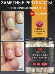 Коллаген говяжий с витамином С и гиалуроновой кислотой - Фото 7