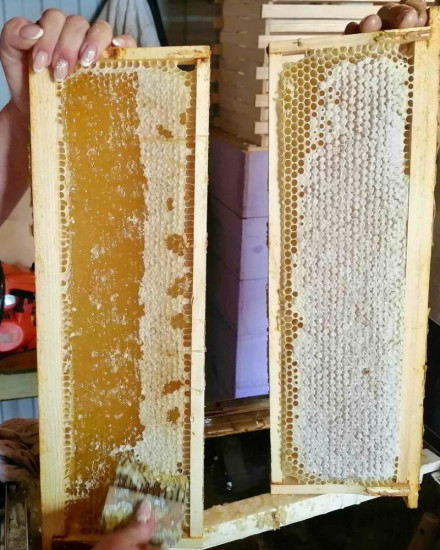 Пыльца и забрус