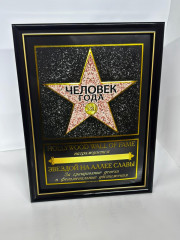 Диплом звезда в рамке «Человек года» - Фото 1