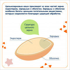 Каша ячменная со злаками с бананом и яблоком - Фото 5