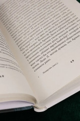 Леди Л. - Фото 9