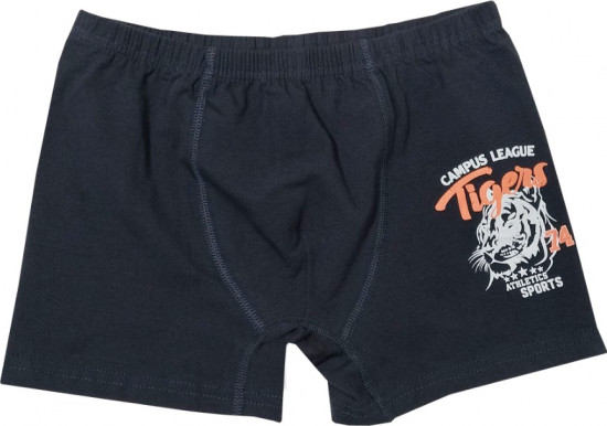 Комплект трусов для мальчиков