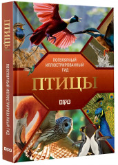 Птицы. Иллюстрированный гид - Фото 2