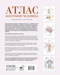 Атлас анатомии человека. Нервная система - Фото 1