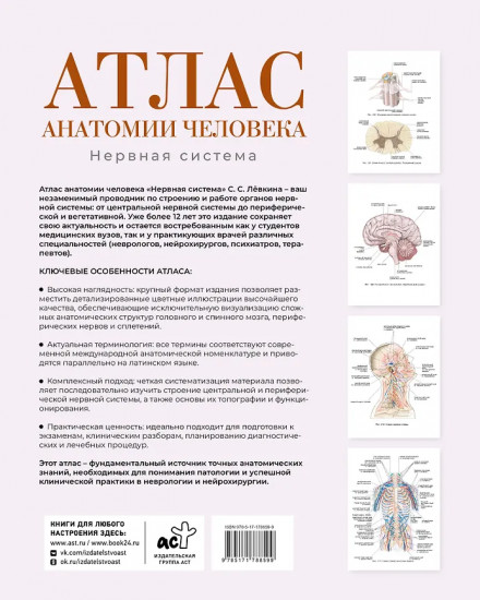 Атлас анатомии человека. Нервная система