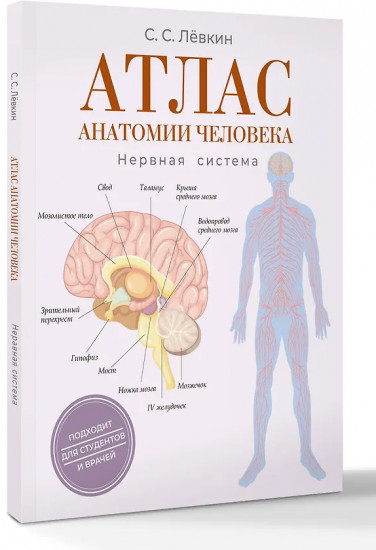 Атлас анатомии человека. Нервная система