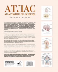 Атлас анатомии человека. Нервная система - Фото 1