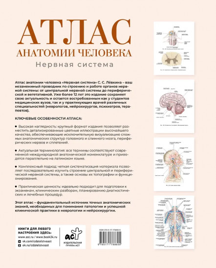 Атлас анатомии человека. Нервная система
