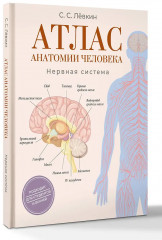 Атлас анатомии человека. Нервная система - Фото 2