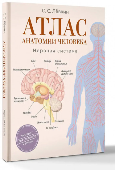 Атлас анатомии человека. Нервная система