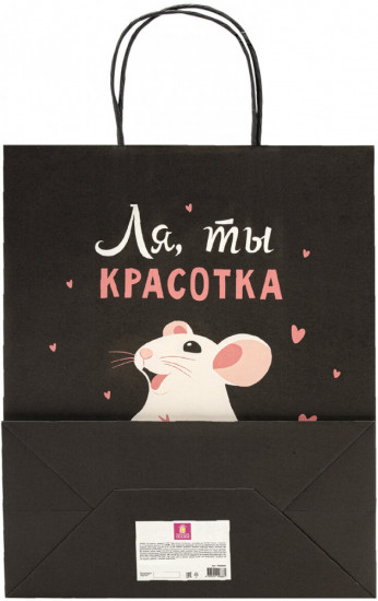 Пакет подарочный