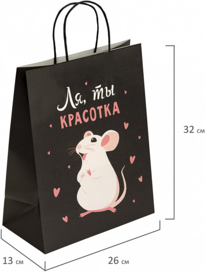 Пакет подарочный