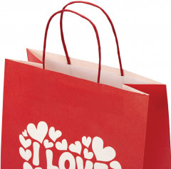 Пакет подарочный - Фото 4