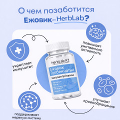 Ежовик гребенчатый «Hericium Erinaceus» - Фото 2