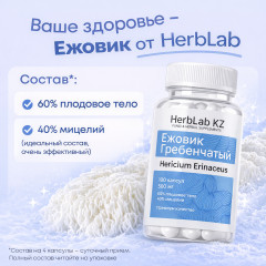 Ежовик гребенчатый «Hericium Erinaceus» - Фото 3