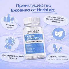 Ежовик гребенчатый «Hericium Erinaceus» - Фото 5