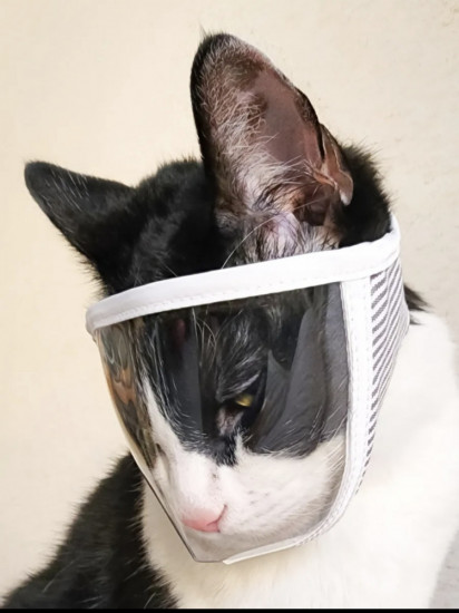 Маска-намордник для кошек для ухода за ногтями «Антикусь»