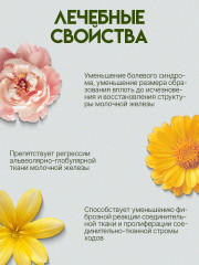 Крем «Грудь здоровая-2» при мастопатии и доброкачественных опухолях - Фото 2