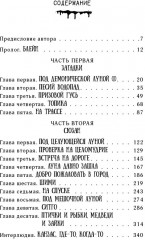 Колдун и кристалл - Фото 4