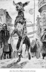 Собачье сердце. Рассказы - Фото 7