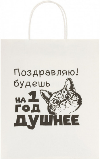 Пакет подарочный