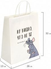 Пакет подарочный - Фото 5