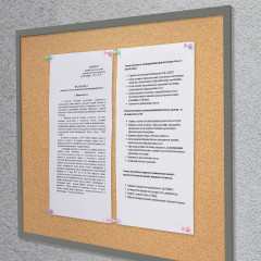 Силовые кнопки-гвоздики - Фото 2