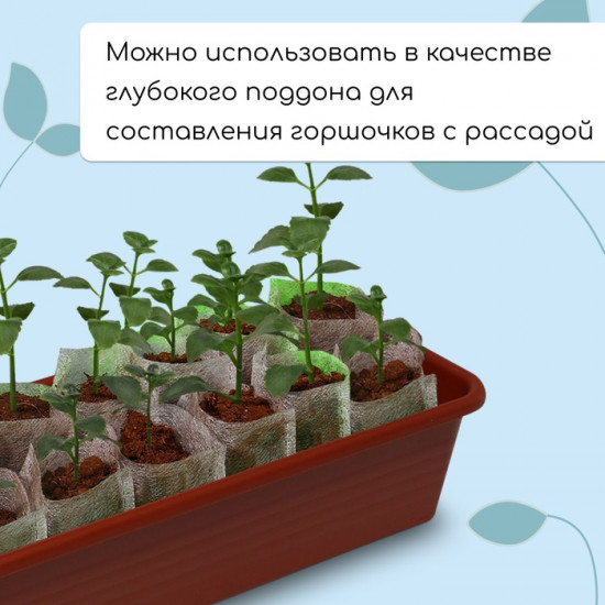 Ящик для рассады