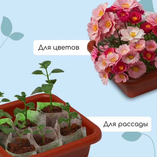 Ящик для рассады