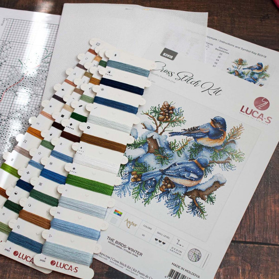 Набор для вышивания «Птицы. Зима»