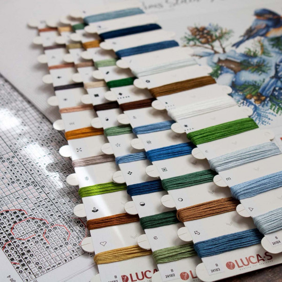 Набор для вышивания «Птицы. Зима»