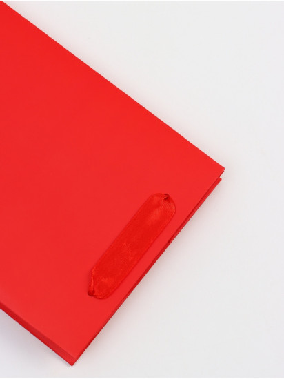 Пакет подарочный под бутылку «Красный»