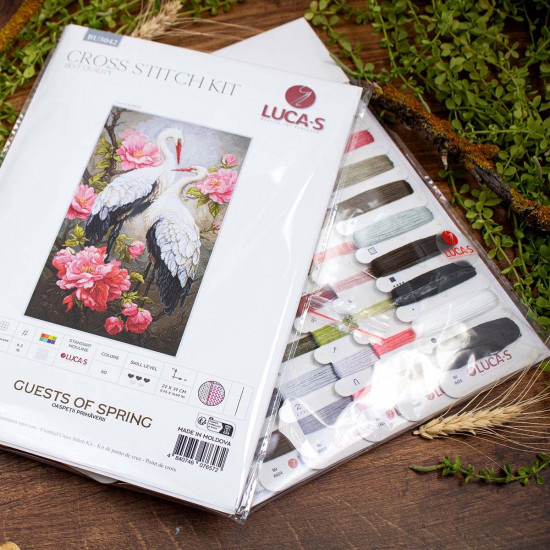 Набор для вышивания «Гости весны»
