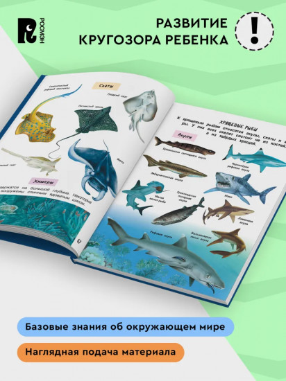 Лучшая энциклопедия для детей