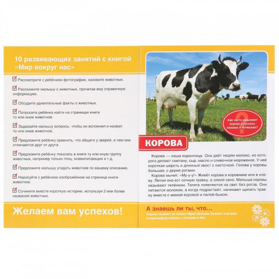Домашние животные