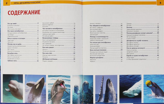 Энциклопедия «Киты, дельфины и косатки»