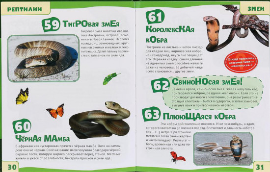 Энциклопедия «Рептилии. 100 фактов»