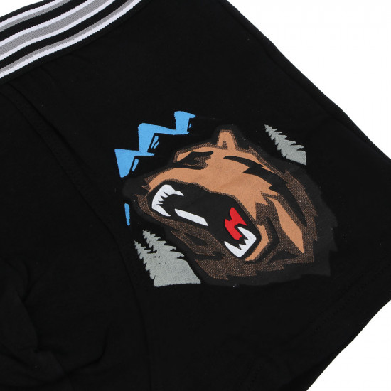 Трусы-боксеры мужские