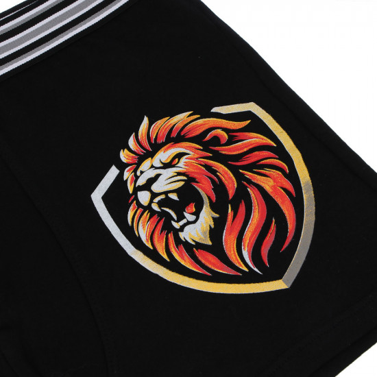 Трусы-боксеры мужские