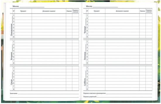 Дневник школьный