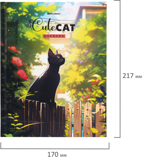 \Дневник для 1-11 классов