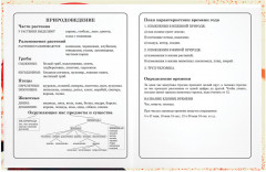 Дневник 1-4 класс - Фото 11