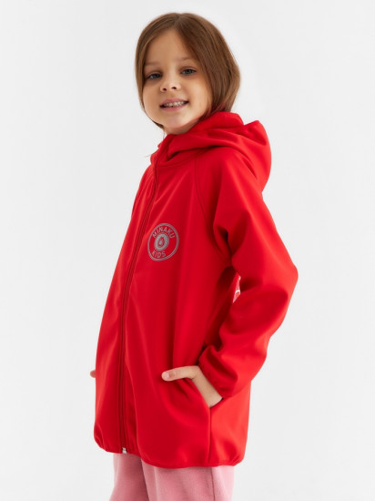 Ветровка с капюшоном детская