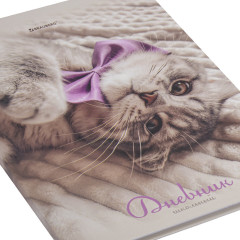 Дневник 5-11 класс - Фото 1