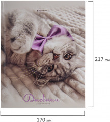 Дневник 5-11 класс - Фото 16