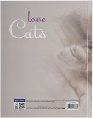 Дневник 5-11 класс - Фото 17