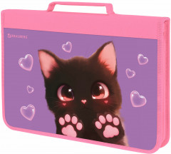 Папка на молнии - Фото 4