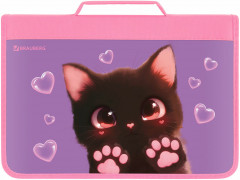 Папка на молнии - Фото 9