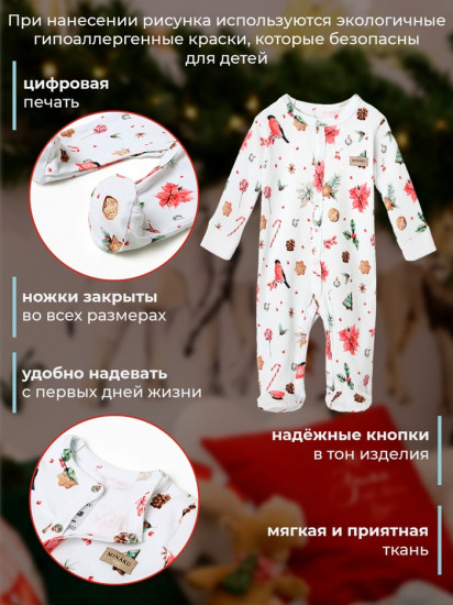 Комбинезон детский детский «Winter»